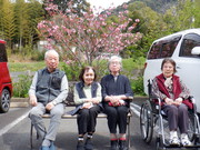 拡大表示