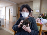 拡大表示