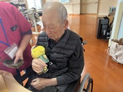 拡大表示