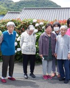 拡大表示