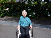 拡大表示