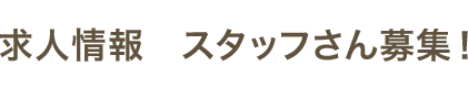 求人情報　スタッフさん募集！